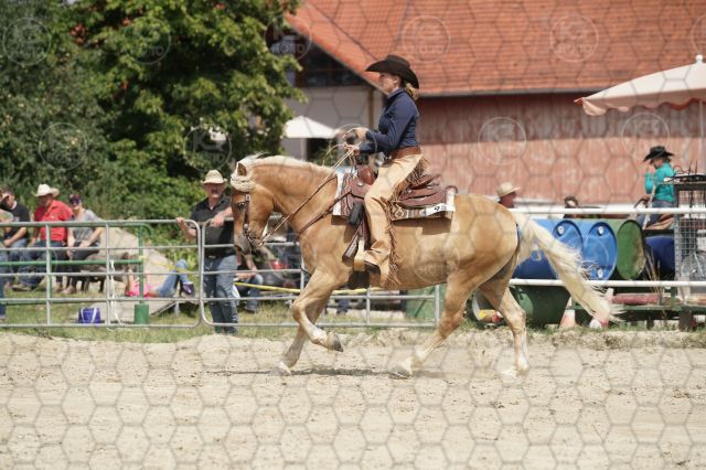 s_K3F07126.JPG